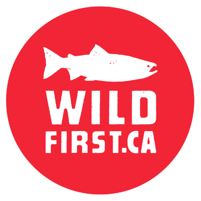 Wild First's profile picture