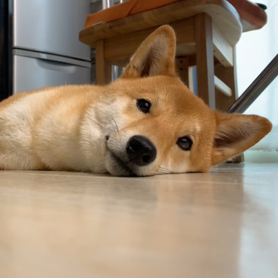 Hinata_sanpo's profile picture