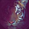 SAra.الحـاي 🇶🇦 的头像