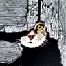 Profilbild von Ally Cat