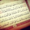روني ١٤٤٠'s profile picture