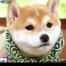 Profilbild von Cal
