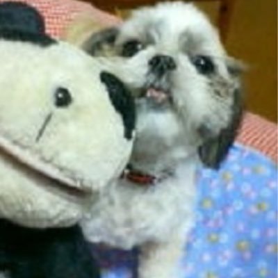 MilkyResMys's profile picture