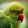 Affani.adel profil fotoğrafı