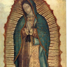 Фото профиля LAURA SANTOS
