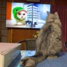 そら★ profil fotoğrafı