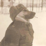 ばれ犬 的头像