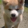 むらさん's profile picture