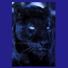AiniMuhamad's profile picture