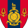 The Bands of HM Royal Marines profil fotoğrafı