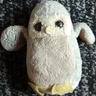Skippy668's profile picture