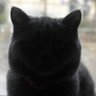Nic profil fotoğrafı
