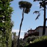 Carlo Bianconi's profile picture