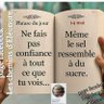 Фото профиля Les marionnettes de l'Info