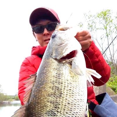 けいた's profile picture