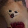 Piper's profile picture