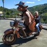 Conchi Molinero's profile picture