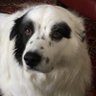 Profilbild von RANGER