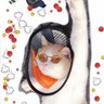 大猫熊 profil fotoğrafı