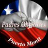 PadresObjetores Filial PuertoMontt profil fotoğrafı