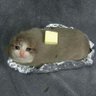 AmraFlamex's profile picture
