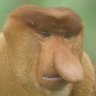 Profilbild von +KKP runner