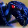 AntEyeTheist profil fotoğrafı