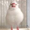 𝕣𝕪𝕒𝕞𝕒𓅪𓅪𓅫's profile picture