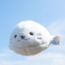 Profilbild von 白担