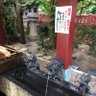 Ｙ 的头像