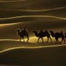 Фото профиля Mohamed el gmmal