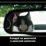Profilbild von Григораш