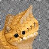 Фото профиля Marlin2000 | Don’t read everything you believe