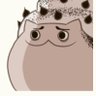 Profilbild von xp