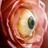 μαξιμιλιάνο's profile picture