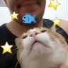 Toto maluco profil fotoğrafı