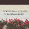 ✍abdullah's profile picture