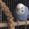 洗濯機だった人 profil fotoğrafı
