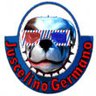 Lino Germano's profile picture
