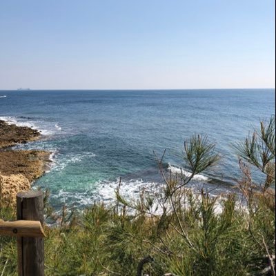 ThomasMaurel2's profile picture