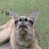 まな☆てい profil fotoğrafı