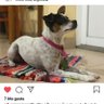 Andy Waranghol profil fotoğrafı