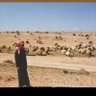 Profilbild von عبدالهادي عبدالله