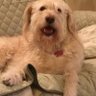 RJ#1's profile picture