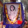 Фото профиля devam sahajyogi