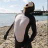 marinus's profile picture