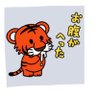 Profilbild von とら
