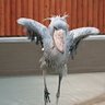 Фото профиля じぇの