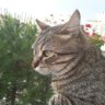 Фото профиля ..sandalcı..