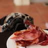 Bacon Bits's profile picture